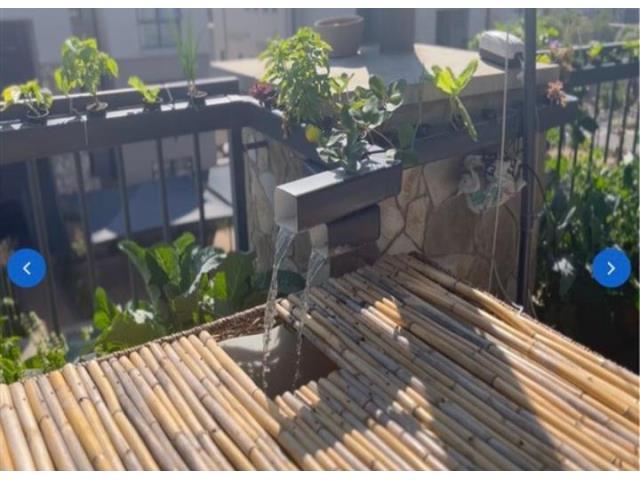 pic_61519600_640x480