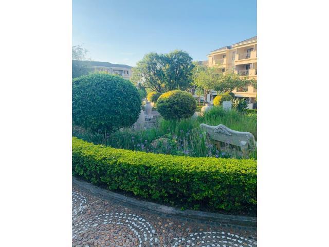 pic_61520019_640x480